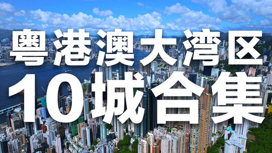 粤港澳大湾区广东十城珠三角城市合集