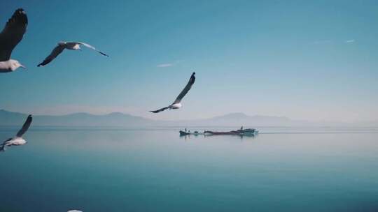 湖面上的小船、湖面上空飞过的鸟群