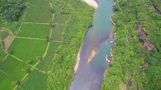 航拍武夷山九曲溪竹筏漂流岩茶茶园丹霞地貌