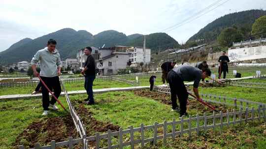 劳动空镜刨土锄地农场工人耕作劳作翻土