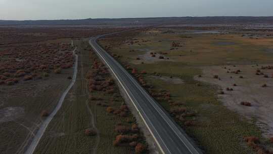 红柳，道路，航拍