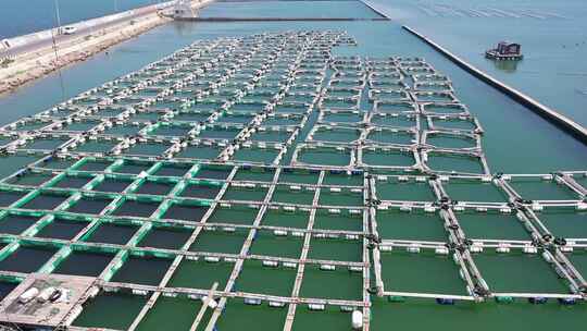 网箱养殖 海水养殖