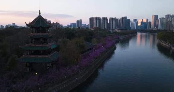 春天夕阳下的成都望江楼公园城市天际线景观