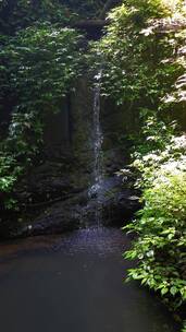 实拍山间溪流流水