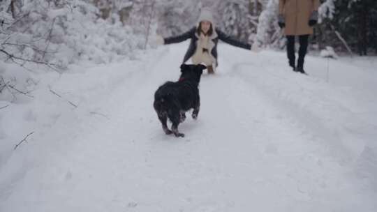 狗在雪地里玩耍的视频