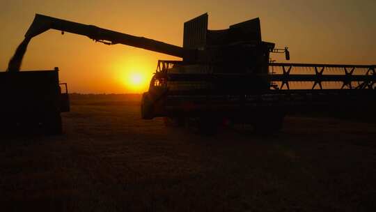 夕阳下的麦田收割机操作