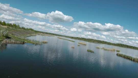 无人机在芦苇的湖面上快速的飞行