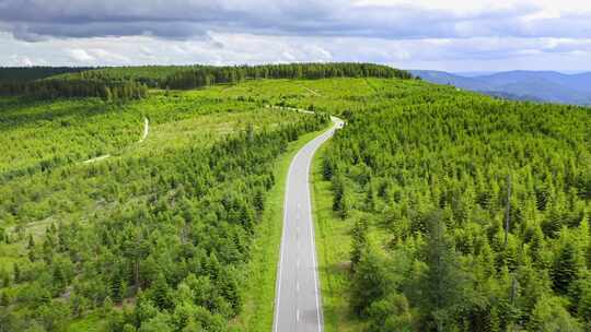 阴天空中穿越绿色森林地区的道路