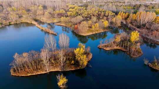 西安渭河浐灞湿地公园秋景