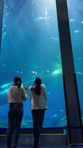 女性朋友一起去水族馆