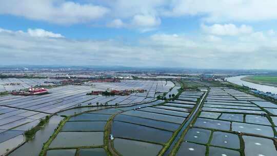 航拍水田4K视频