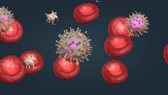 微观细胞血液 红细胞 白细胞 血小板视频素材模板下载