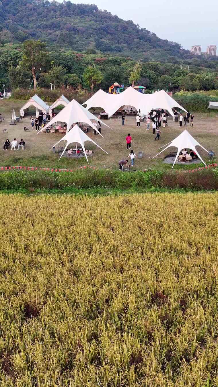 田野边户外露营人群活动场景