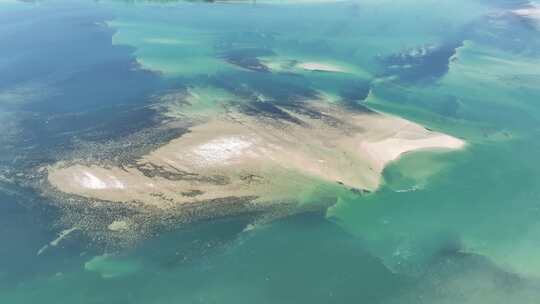 中国江河母亲河黄河生态湿地环境