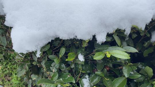 雪景 踏雪进山 雪中行 大雪视频素材模板下载