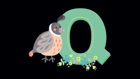 动物字母Q动画