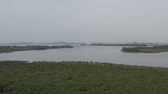 东寨港红树林