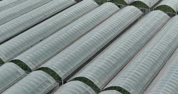 现代化农业温室大棚航拍