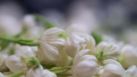 升格慢动作微距特写茉莉花与茉莉花茶制作