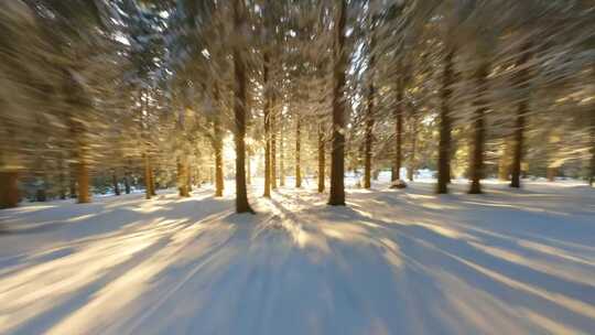 白雪森林日出树林雪地FPV穿越机无人机航拍