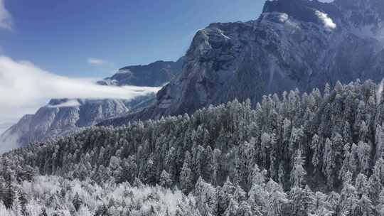 壮丽的雪山