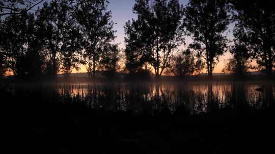 湖边树林夕阳景色