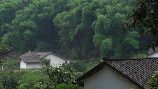 远景山林村庄瓦房