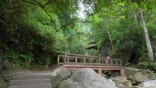 成都青城山后山峡谷森林步道溪流自然景观