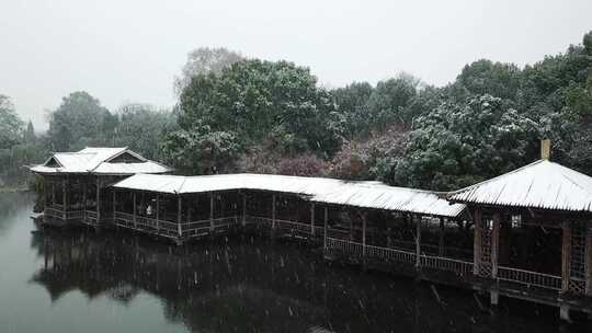 航拍杭州西湖花港观鱼水榭雪景