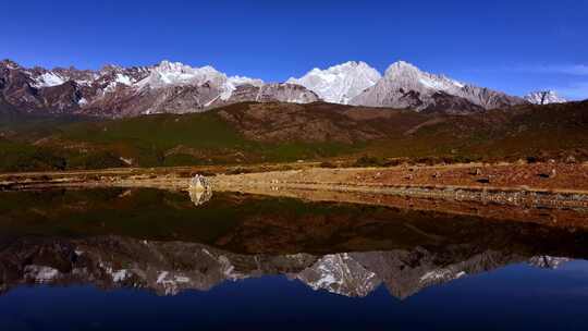 玉龙雪山和湖泊水面的雪山倒影视频素材模板下载