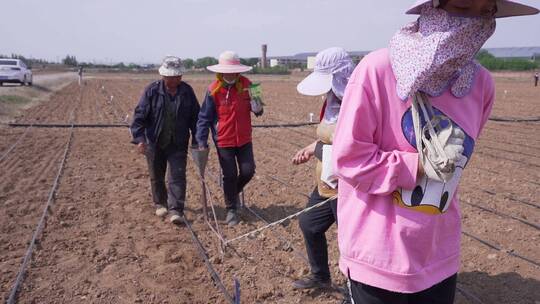 北方农民耕种视频素材模板下载