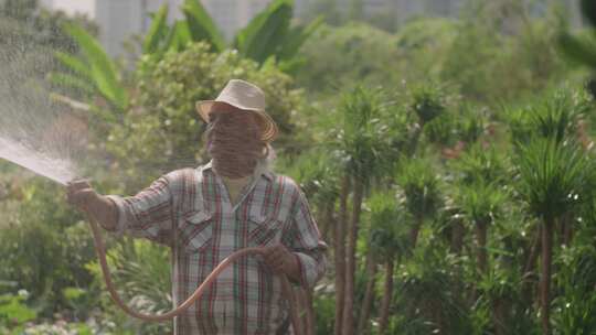 人，园艺，植物苗圃，浇水