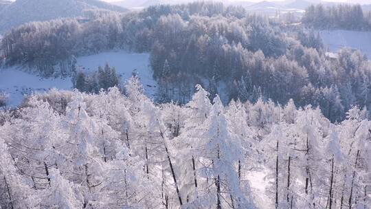 4k航拍恩施雪山雾凇峡谷风光