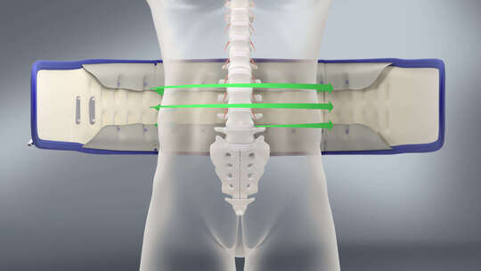 人体佩戴腰部支撑带的3D效果展示 腰带