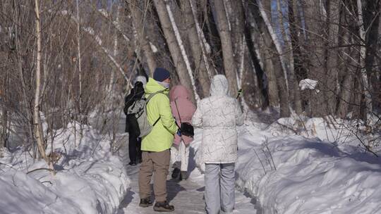 阿勒泰桦林公园雪景