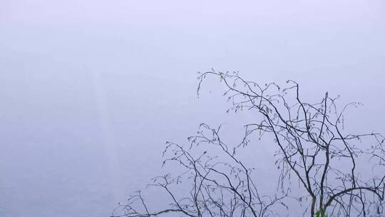 杭州西湖茅家埠雾天意境4K视频素材