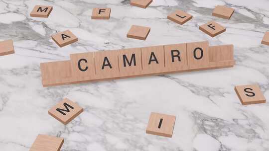 拼字游戏上的CAMARO单词