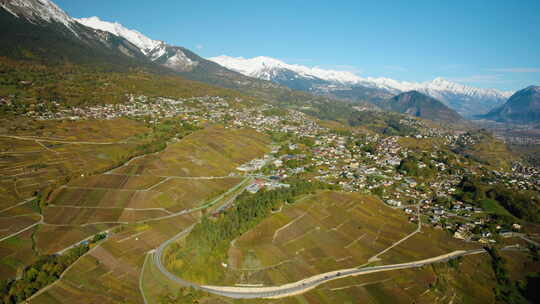 瑞士瓦莱州锡永萨维兹村秋天色彩的葡萄园。