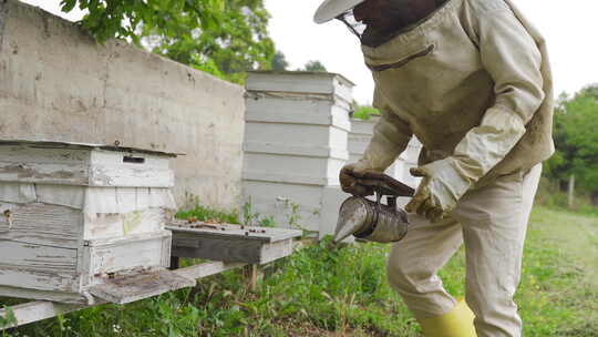 养蜂和蜂蜜生产。
