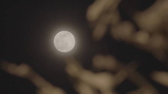 冬天月亮 雪景月亮 月亮意境视频素材模板下载