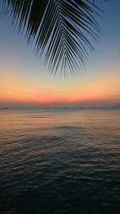 海南三亚海岛夕阳下海边椰树海浪晚霞