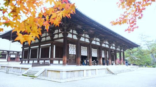 日本京都金福寺视频素材模板下载