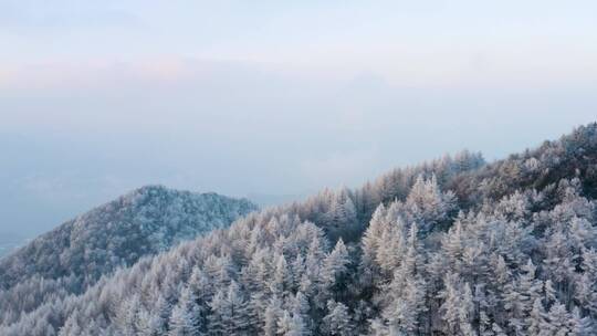 4k航拍恩施雪山雾凇风光