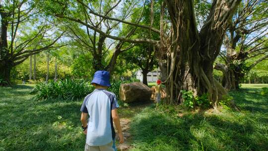 小朋友 小学生 亲近大自然 大榕树 树根