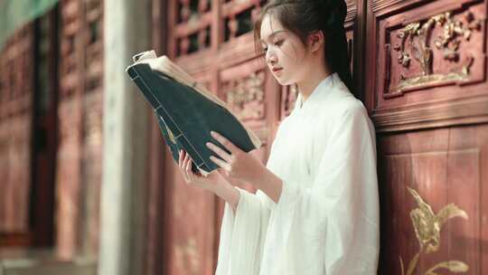 古风汉服美女阅读兰亭序