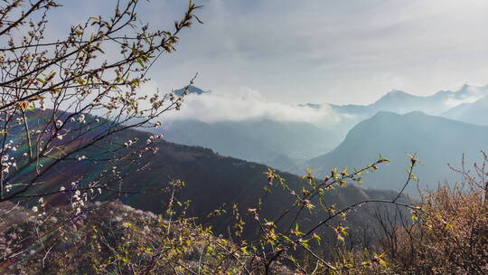 春天大山雪霁云雾延时