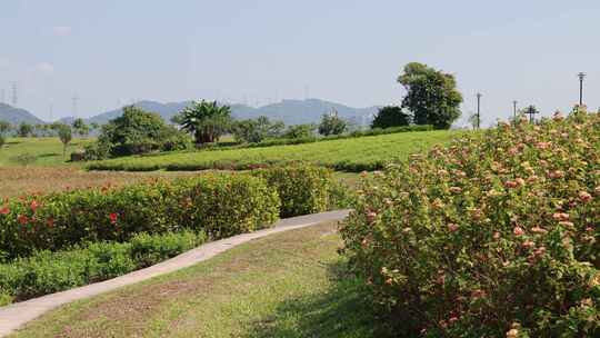 深圳陌上花公园