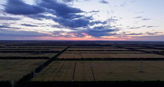 航拍夕阳下一望无际的稻田