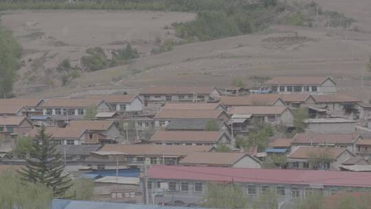 东北山区黑土地与春季的野草野花