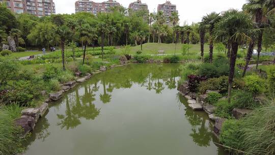 上海植物园品质绿色植被人流实拍